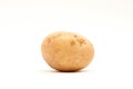 White potatoe Royalty Free Stock Photo