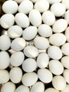 White poultry eggs Royalty Free Stock Photo