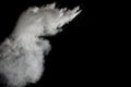 White powder explosion on black background.Stopping the movement of white powder on dark background. Royalty Free Stock Photo