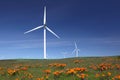 White Power Generating Wind Turbines, Wildflowers