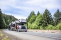 White powerful car hauler big rig semi truck transporting cars on two semi trailers running on the green forest highway road