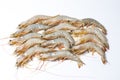 White Prawn Royalty Free Stock Photo