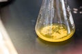 white precipitate in yellow solution