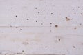 White processed sandstone wall with symmetric holes. Horizontal view. Copy space. Light coloured background.