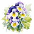 White Prosperity Pansy Watercolor Bouquet On White Background Royalty Free Stock Photo