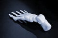 White prototype of the human foot skeleton printed on 3d printer on dark surface Royalty Free Stock Photo