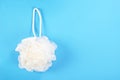 White puff Shower sponge mesh