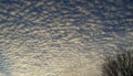 White puffy clouds and blue sky before sunset Royalty Free Stock Photo