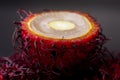 White pulp with seed of Rambutan fruit Royalty Free Stock Photo