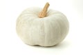 White pumpkin