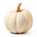 White Pumpkin: Historically Accurate Hatecore Photorealistic Pastiche