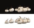 White pumpkin isolated on white and on black. Realistic vector pumpkins