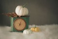 White pumpkin and leaves laying on vintage green scale with fur white background and mini pumpkins