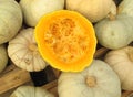 White pumpkin marrow vegetable Royalty Free Stock Photo