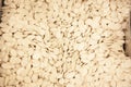White pumpkin seeds Royalty Free Stock Photo