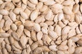 White pumpkin seeds Royalty Free Stock Photo