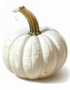 White Pumpkin with Textured Stem and Subtle Light Brown Spots Isolated on White Background Royalty Free Stock Photo