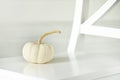 White pumpkin in a white interior. Creative photo of the fruit of a white pumpkin.