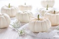 White pumpkings decoration for Thanksgiving Royalty Free Stock Photo