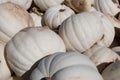 White Pumpkins Royalty Free Stock Photo