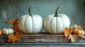 White Pumpkins Royalty Free Stock Photo