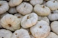 White pumpkins in a pile Royalty Free Stock Photo