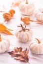 White pumpkins, poppy heads and autumn leaves on wooden background Royalty Free Stock Photo