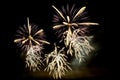 White and purple fireworks display Royalty Free Stock Photo