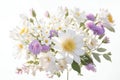 White and purple Flowers on White isolated white background HD Royalty Free Stock Photo