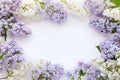 White and purple lilac on a white wooden background