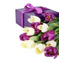 White and purple tulips and gift box Royalty Free Stock Photo