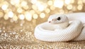 White Python Snake on Golden Shiny Background, Exotic Pet, Tropical Reptile, Festive Holiday Theme. Royalty Free Stock Photo