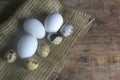 White and quail eggs stand on a burlap on a wooden table Royalty Free Stock Photo