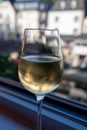 Terraced hilly vineyards in Luxembourg. Production of cremant sparkling wine in south part of Luxembourg country on bank of Moezel Royalty Free Stock Photo