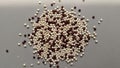 White quinoa is predominant, while the red grains are interspe Royalty Free Stock Photo
