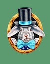White Rabbit in a black hat and a bow tie Royalty Free Stock Photo
