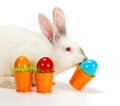 White rabbit carrying Easter eggs Royalty Free Stock Photo