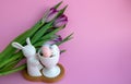 White rabbit, Easter eggs and lilac tulips on pink background, Easter celebration concept Royalty Free Stock Photo