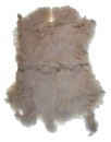 White Rabbit Fur