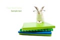 White rabbit with glasses and schoolbooks Royalty Free Stock Photo