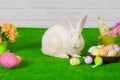 White rabbit on the grass with flowers and a basket Royalty Free Stock Photo