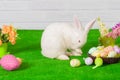 White rabbit on the grass with flowers and a basket Royalty Free Stock Photo