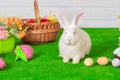 White rabbit on the grass with flowers and a basket Royalty Free Stock Photo
