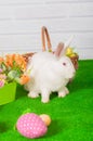 White rabbit on the grass with flowers and a basket Royalty Free Stock Photo