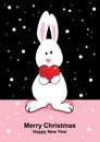 White rabbit with heart