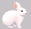 White rabbit