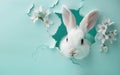 White rabbit peeking through blue paper with white flowers. Creative Easter concept Royalty Free Stock Photo