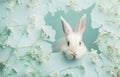 White rabbit peeking through blue paper with white flowers. Creative Easter concept Royalty Free Stock Photo