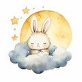 White Rabbit Sitting on Cloud
