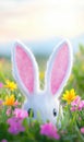 A white rabbit with pink ears is playfully hiding among the green grass, capturing the spirit of Easter and springtime Royalty Free Stock Photo